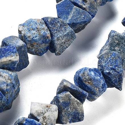 Brins bruts bruts de lapis lazuli naturels G-P528-A14-01-1