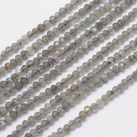 Chapelets de perles en labradorite naturelle G-I156-04-3x2.5-1