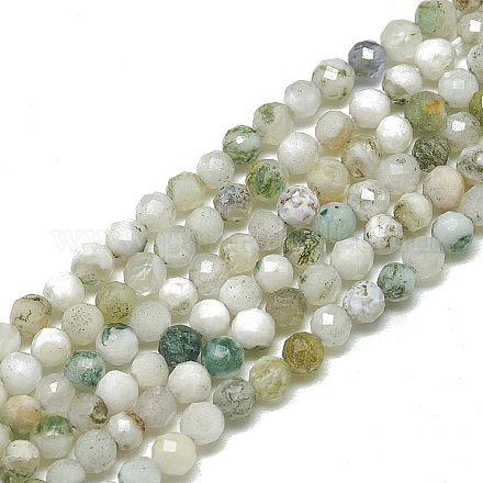 Chapelets de perles en agate d'arbre naturelle G-S300-22-3mm-1