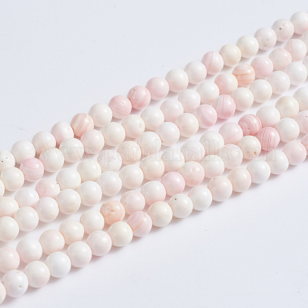 Brins de perles de coquillage rose naturel SSHEL-L016-18B-1