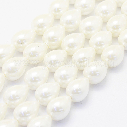 Shell Pearl Beads Strands BSHE-P024-10-1