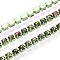 Iron Rhinestone Cup Chains, with Spool, Dark Sea Green, 2x2x2mm, about 10yard/Roll