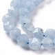 Natürliche Aquamarin Perlen Stränge G-P488-03A-4