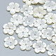 Perles de coquillage blanc naturel SSHEL-S260-059B-1