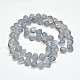 Frosted Electroplate Glass Shell Beads Strands EGLA-M002-B03-2
