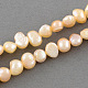 Natural Cultured Freshwater Pearl Beads Strands A02SA036-1