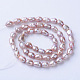 Natural Cultured Freshwater Pearl Beads Strands PEAR-S010-23-2