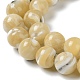 Brins de perles de coquillages naturels de troca BSHE-P033-03A-3