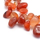 Natural Carnelian Beads Strands G-K220-32B-3