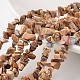 Nuggets Natural Pictures Jasper Bead Strands G-M344-26-1