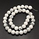 Frosted Round Howlite Beads Strands G-N0166-72-10mm-3