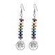 Colorful Natural Dyed Lava Rock Disc Beaded Dangle Earrings EJEW-JE05615-1