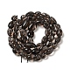 Natural Obsidian Beads Strands G-P497-01A-15-3