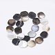 Black Lip Shell Beads Strands BSHE-T002-02-2