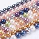 Chapelets de perles de coquille BSHE-L035-8mm-I-1