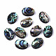 Perles de coquille d'ormeau naturel/coquille de paua SSHEL-T014-09-1