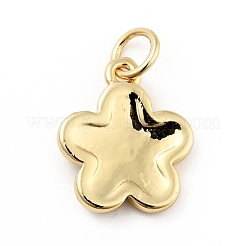 Подвески из латуни с покрытием из эмали&nbsp;KK-G387-09G-06