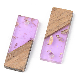 Подвески из прозрачной смолы и ореха&nbsp;LS-RESI-S389-059A-B01