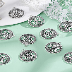 20 шт. подвески из полого сплава в тибетском стиле&nbsp;FIND-LP0001-93AS