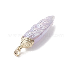 Подвески из смолы с радужным переливающимся покрытием&nbsp;PALLOY-JF02716