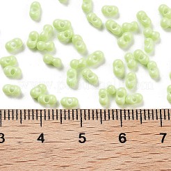 Granos de semilla de vidrio de pintura para hornear&nbsp;SEED-A033-05S