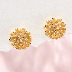 Orecchini in ottone&nbsp;EJEW-Q014-34G