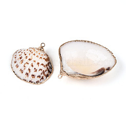 Гальванические подвески с морской раковиной&nbsp;X-SSHEL-T006-04