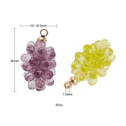 Подвески из смолы&nbsp;X1-KY-I007-46