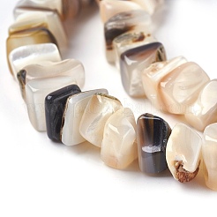 Нити бусин из пресноводных ракушек&nbsp;BSHE-O017-09