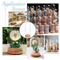 Стеклянный купол 10 шт.&nbsp;AJEW-BC0008-80