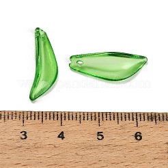 Transparenten Acryl-Anhänger&nbsp;AC-CBA5040-01J