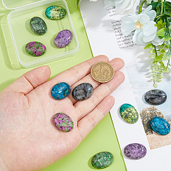 12 шт. 6 стиля натурального рубина в кабошонах из цоизита и кунжутной яшмы/киви-яшмы&nbsp;G-FH0002-63B