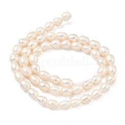 Brins de perles de culture d'eau douce naturelles&nbsp;PEAR-D003-01D-15