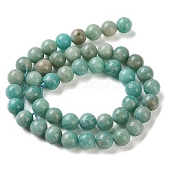Природных амазонит бисер нитей&nbsp;G-F602-02-8mm-01