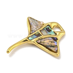 Pendentifs en coquillage paua pavé en acier inoxydable 304 avec placage ionique (IP)&nbsp;X-STAS-S146-13P