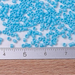 Miyuki Delica Perlen&nbsp;SEED-MY11-DB0879