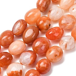 Natürliche rote Botswana Achat Perlenstränge&nbsp;G-G117-A05-06
