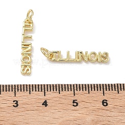 Pendentifs en laiton&nbsp;KK-H256-02G-02