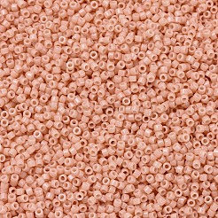 Бусины Миюки Делика&nbsp;X-SEED-J020-DB2111