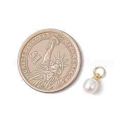 Натуральные культивированные пресноводные жемчужные рисовые подвески&nbsp;PALLOY-JF04820