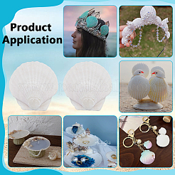 80 шт. украшения из натуральных ракушек&nbsp;DIY-WA0001-03