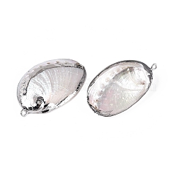 Galvanisierte Anhänger aus natürlicher Paua-Muschel&nbsp;SSHEL-Q100-15P