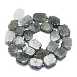 Chapelets de perles en labradorite naturelle &nbsp;G-K245-J21-01