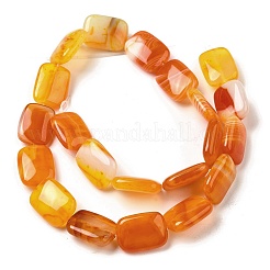 Натуральные полосатые агатовые / полосатые агатовые бусинки&nbsp;G-B137-B01-01I