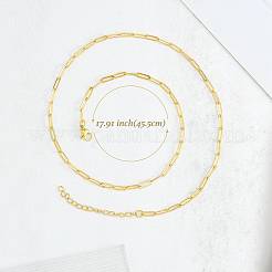 10 collar de cadena con clip de acero inoxidable 201 para mujer&nbsp;NJEW-SZ0001-71