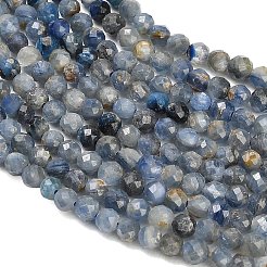 Fili di perline di cianite cianite naturale di distene&nbsp;LS-GG-CBABEF5-A01-3mm-A