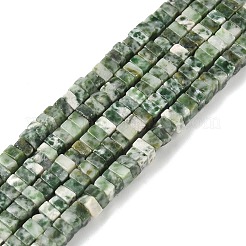 Натуральные зеленые пятна яшмовых нитей G-I394-A04