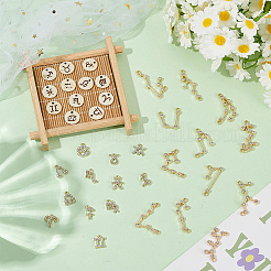 DIY Двенадцать Созвездий сплава Стразы Соединительные Шармы и Подвески Изготовление Бижутерии Фурнитура Наборы&nbsp;DIY-AR0004-13