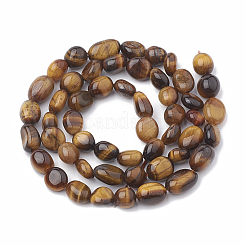 Fili di perline di occhio di tigre naturale&nbsp;G-S331-6x8-001