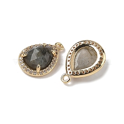 Pendentifs en forme de larme à facettes en labradorite naturelle&nbsp;X-G-U028-02G-06